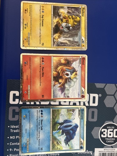 Shiny legendary beasts black - beasts,